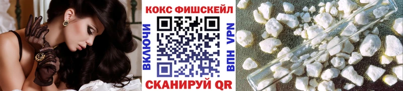 КОКАИН Fish Scale  ссылка на мегу ТОР  Николаевск  цена  