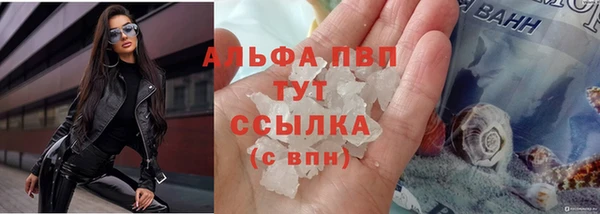 ГАЛЛЮЦИНОГЕННЫЕ ГРИБЫ Новозыбков