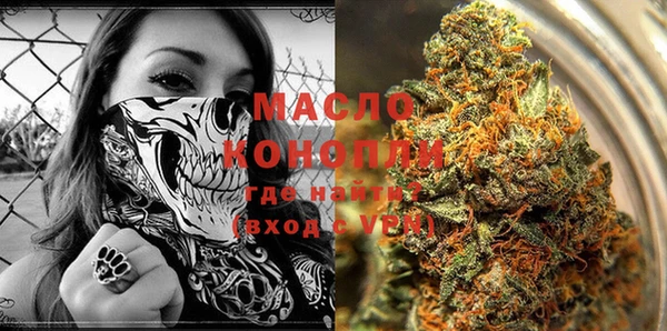 гашик Нея