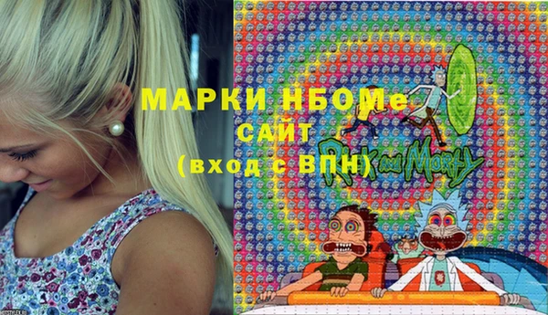 гашик Нея