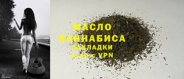 гашик Нея