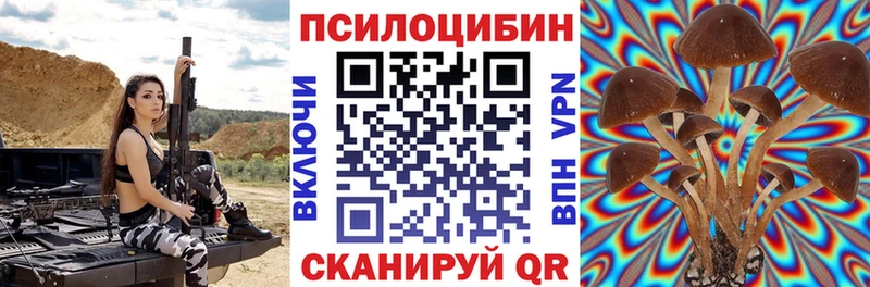 как найти   Николаевск  Псилоцибиновые грибы Magic Shrooms 