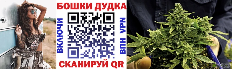 МАРИХУАНА конопля Николаевск